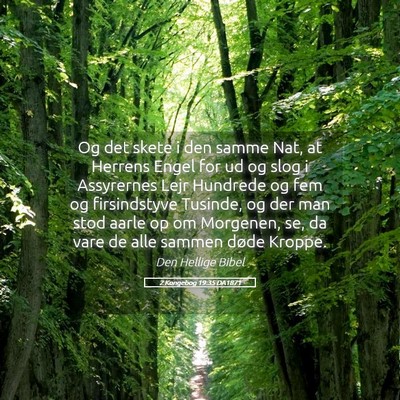 Picture 05 - 2 Kongebog 19:35 DA1871 - Og det skete i den samme Nat, at Herrens Engel - Bible Verse Picture