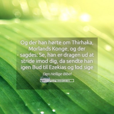 Picture 05 - 2 Kongebog 19:9 DA1871 - Og der han hørte om Thirhaka, Morlands Konge, og - Bible Verse Picture