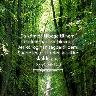 Picture 05 - 2 Kongebog 2:18 DA1871 - Da kom de tilbage til ham, medens han var bleven - Bible Verse Picture