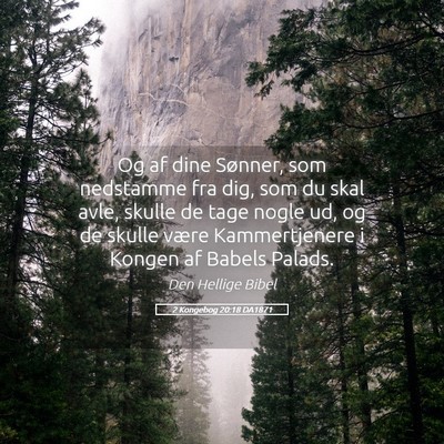 Picture 05 - 2 Kongebog 20:18 DA1871 - Og af dine Sønner, som nedstamme fra dig, som du - Bible Verse Picture