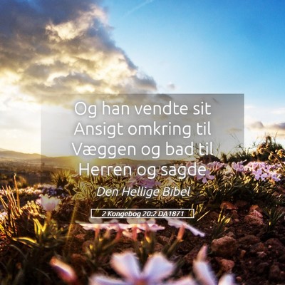 Picture 05 - 2 Kongebog 20:2 DA1871 - Og han vendte sit Ansigt omkring til Væggen og - Bible Verse Picture