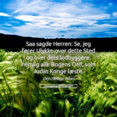 Picture 05 - 2 Kongebog 22:16 DA1871 - Saa sagde Herren: Se, jeg fører Ulykke over - Bible Verse Picture