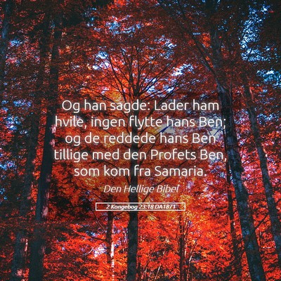 Picture 05 - 2 Kongebog 23:18 DA1871 - Og han sagde: Lader ham hvile, ingen flytte hans - Bible Verse Picture