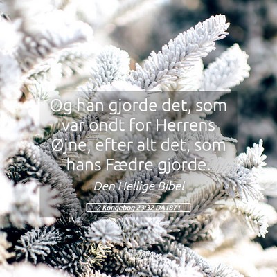 Picture 05 - 2 Kongebog 23:32 DA1871 - Og han gjorde det, som var ondt for Herrens - Bible Verse Picture