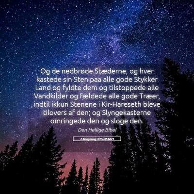 Picture 05 - 2 Kongebog 3:25 DA1871 - Og de nedbrøde Stæderne, og hver kastede sin - Bible Verse Picture