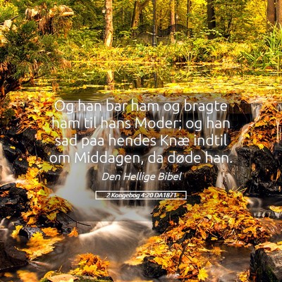 Picture 05 - 2 Kongebog 4:20 DA1871 - Og han bar ham og bragte ham til hans Moder; og - Bible Verse Picture