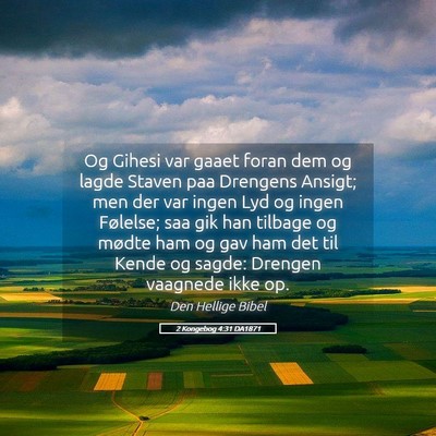 Picture 05 - 2 Kongebog 4:31 DA1871 - Og Gihesi var gaaet foran dem og lagde Staven paa - Bible Verse Picture