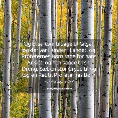 Picture 05 - 2 Kongebog 4:38 DA1871 - Og Elisa kom tilbage til Gilgal, og der var - Bible Verse Picture