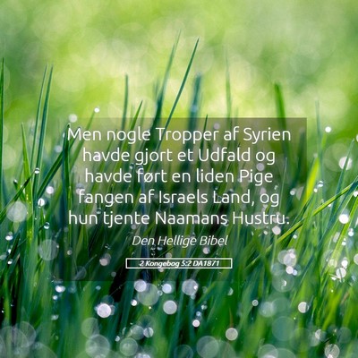 Picture 05 - 2 Kongebog 5:2 DA1871 - Men nogle Tropper af Syrien havde gjort et Udfald - Bible Verse Picture