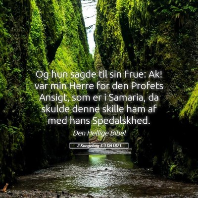 Picture 05 - 2 Kongebog 5:3 DA1871 - Og hun sagde til sin Frue: Ak! var min Herre for - Bible Verse Picture