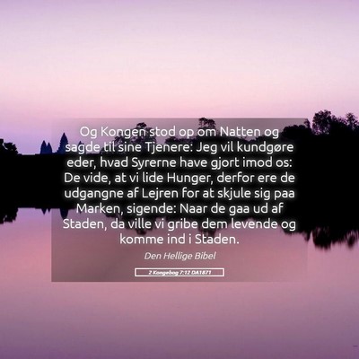 Picture 05 - 2 Kongebog 7:12 DA1871 - Og Kongen stod op om Natten og sagde til sine - Bible Verse Picture