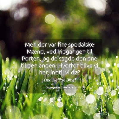 Picture 05 - 2 Kongebog 7:3 DA1871 - Men der var fire spedalske Mænd, ved Indgangen - Bible Verse Picture