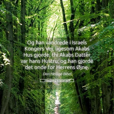 Picture 05 - 2 Kongebog 8:18 DA1871 - Og han vandrede i Israels Kongers Vej, ligesom - Bible Verse Picture