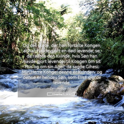 Picture 05 - 2 Kongebog 8:5 DA1871 - Og det skete, der han fortalte Kongen, at han - Bible Verse Picture