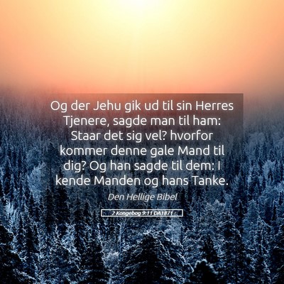 Picture 05 - 2 Kongebog 9:11 DA1871 - Og der Jehu gik ud til sin Herres Tjenere, sagde - Bible Verse Picture