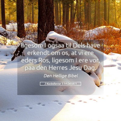 Picture 05 - 2 Korintherne 1:14 DA1871 - ligesom I ogsaa til Dels have erkendt om os, at - Bible Verse Picture