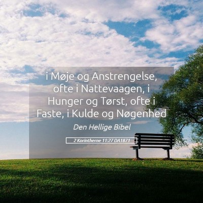 Picture 05 - 2 Korintherne 11:27 DA1871 - i Møje og Anstrengelse, ofte i Nattevaagen, i - Bible Verse Picture