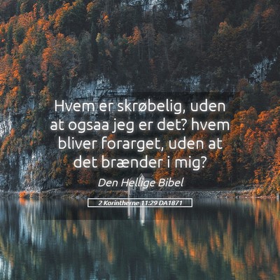 Picture 05 - 2 Korintherne 11:29 DA1871 - Hvem er skrøbelig, uden at ogsaa jeg er det? - Bible Verse Picture