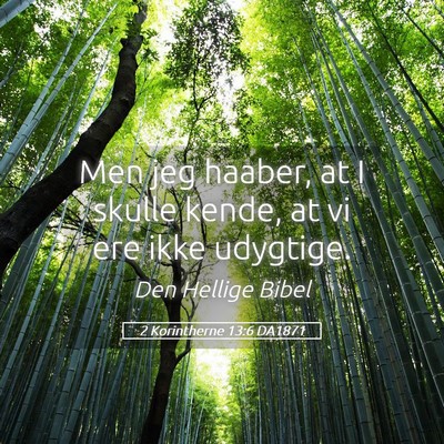 Picture 05 - 2 Korintherne 13:6 DA1871 - Men jeg haaber, at I skulle kende, at vi ere ikke - Bible Verse Picture