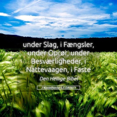 Picture 05 - 2 Korintherne 6:5 DA1871 - under Slag, i Fængsler, under Oprør, under - Bible Verse Picture