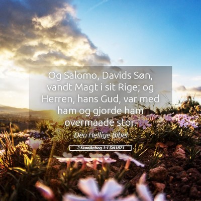 Picture 05 - 2 Krønikebog 1:1 DA1871 - Og Salomo, Davids Søn, vandt Magt i sit Rige; og - Bible Verse Picture