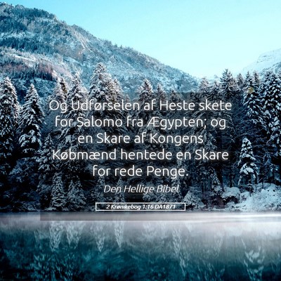 Picture 05 - 2 Krønikebog 1:16 DA1871 - Og Udførselen af Heste skete for Salomo fra - Bible Verse Picture