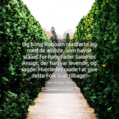 Picture 05 - 2 Krønikebog 10:6 DA1871 - Og Kong Roboam raadførte sig med de ældste, som - Bible Verse Picture