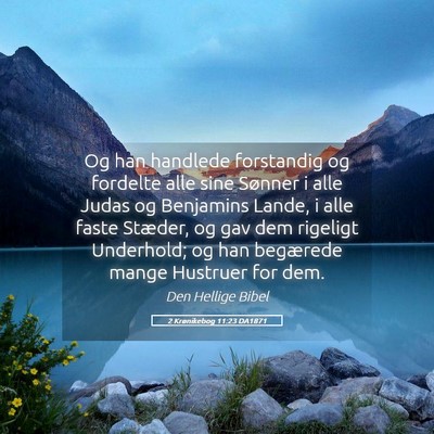 Picture 05 - 2 Krønikebog 11:23 DA1871 - Og han handlede forstandig og fordelte alle sine - Bible Verse Picture