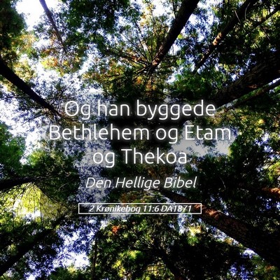 Picture 05 - 2 Krønikebog 11:6 DA1871 - Og han byggede Bethlehem og Etam og - Bible Verse Picture