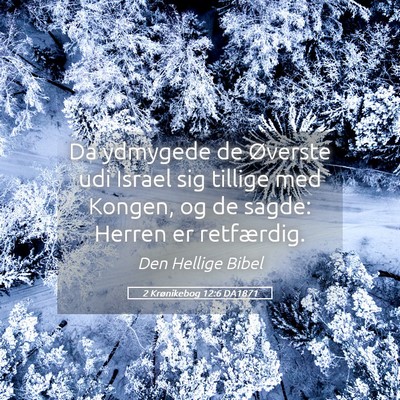 Picture 05 - 2 Krønikebog 12:6 DA1871 - Da ydmygede de Øverste udi Israel sig tillige - Bible Verse Picture