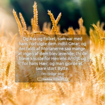 Picture 05 - 2 Krønikebog 14:13 DA1871 - Og Asa og Folket, som var med ham, forfulgte dem - Bible Verse Picture