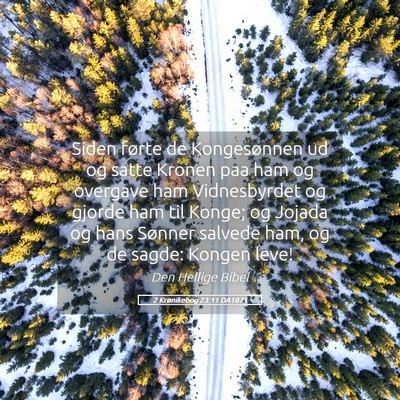 Picture 05 - 2 Krønikebog 23:11 DA1871 - Siden førte de Kongesønnen ud og satte Kronen - Bible Verse Picture