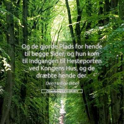 Picture 05 - 2 Krønikebog 23:15 DA1871 - Og de gjorde Plads for hende til begge Sider, og - Bible Verse Picture