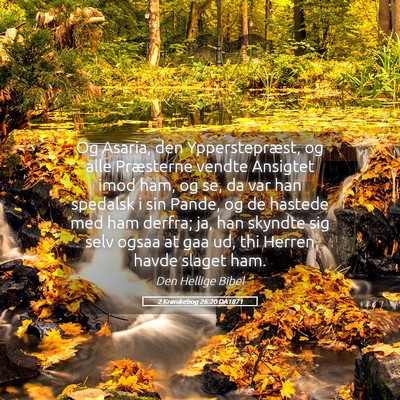 Picture 05 - 2 Krønikebog 26:20 DA1871 - Og Asaria, den Ypperstepræst, og alle Præsterne - Bible Verse Picture