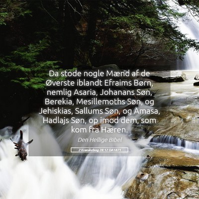 Picture 05 - 2 Krønikebog 28:12 DA1871 - Da stode nogle Mænd af de Øverste iblandt - Bible Verse Picture