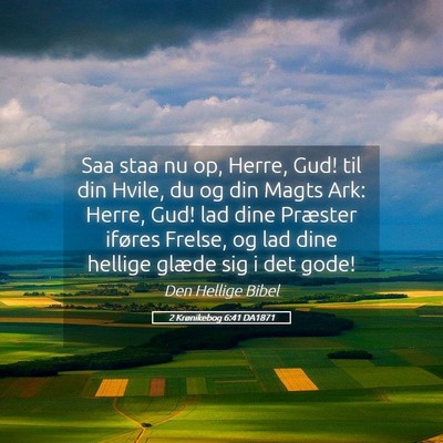 Picture 05 - 2 Krønikebog 6:41 DA1871 - Saa staa nu op, Herre, Gud! til din Hvile, du og - Bible Verse Picture