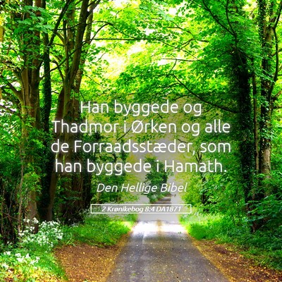 Picture 05 - 2 Krønikebog 8:4 DA1871 - Han byggede og Thadmor i Ørken og alle de - Bible Verse Picture
