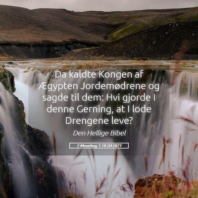 Picture 05 - 2 Mosebog 1:18 DA1871 - Da kaldte Kongen af Ægypten Jordemødrene og - Bible Verse Picture