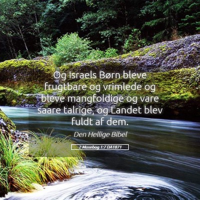 Picture 05 - 2 Mosebog 1:7 DA1871 - Og Israels Børn bleve frugtbare og vrimlede og - Bible Verse Picture