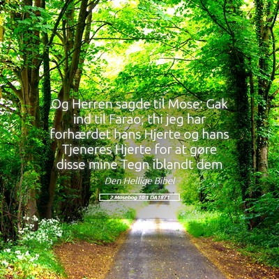Picture 05 - 2 Mosebog 10:1 DA1871 - Og Herren sagde til Mose: Gak ind til Farao; thi - Bible Verse Picture