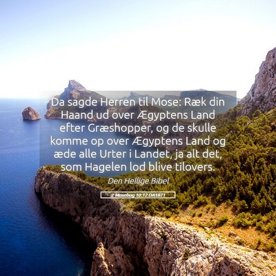Picture 05 - 2 Mosebog 10:12 DA1871 - Da sagde Herren til Mose: Ræk din Haand ud over - Bible Verse Picture