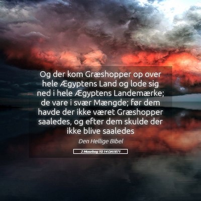 Picture 05 - 2 Mosebog 10:14 DA1871 - Og der kom Græshopper op over hele Ægyptens - Bible Verse Picture