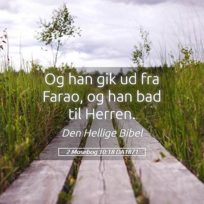 Picture 05 - 2 Mosebog 10:18 DA1871 - Og han gik ud fra Farao, og han bad til - Bible Verse Picture