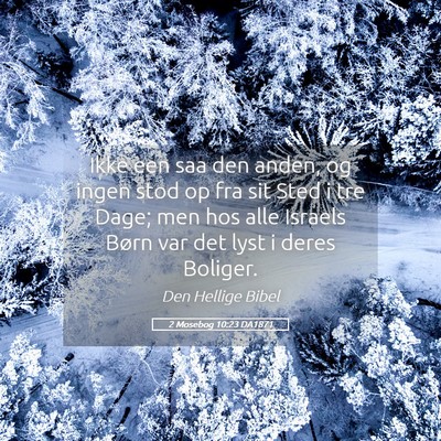 Picture 05 - 2 Mosebog 10:23 DA1871 - Ikke een saa den anden, og ingen stod op fra sit - Bible Verse Picture