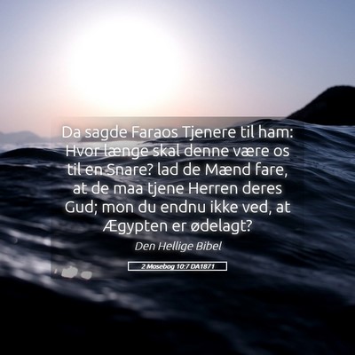 Picture 05 - 2 Mosebog 10:7 DA1871 - Da sagde Faraos Tjenere til ham: Hvor længe skal - Bible Verse Picture