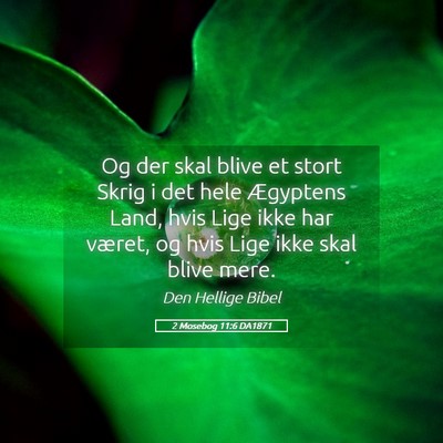 Picture 05 - 2 Mosebog 11:6 DA1871 - Og der skal blive et stort Skrig i det hele - Bible Verse Picture