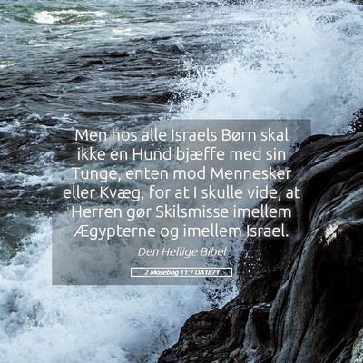 Picture 05 - 2 Mosebog 11:7 DA1871 - Men hos alle Israels Børn skal ikke en Hund - Bible Verse Picture