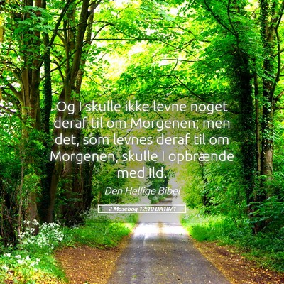 Picture 05 - 2 Mosebog 12:10 DA1871 - Og I skulle ikke levne noget deraf til om - Bible Verse Picture