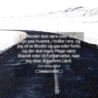 Picture 05 - 2 Mosebog 12:13 DA1871 - Og Blodet skal være eder til et Tegn paa Husene, - Bible Verse Picture