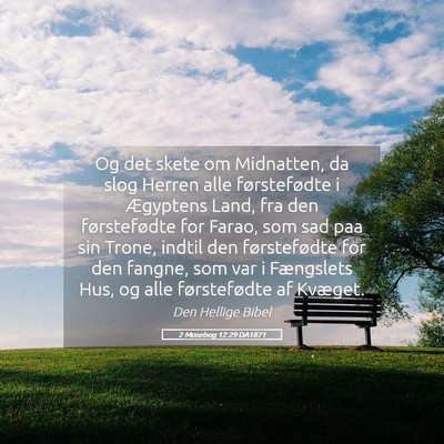 Picture 05 - 2 Mosebog 12:29 DA1871 - Og det skete om Midnatten, da slog Herren alle - Bible Verse Picture